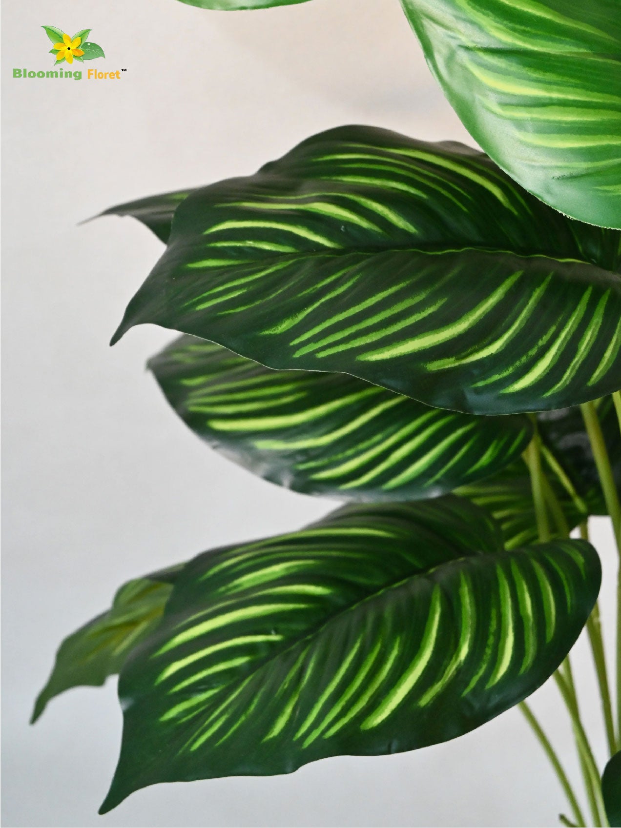 Artificial Calathea Orbifolia Plant – 73 cm, 18 Leaves, with Basic Pot