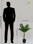 Artificial Bonsai Palm Tree – 68 cm, 9 Leaves, with Basic Pot