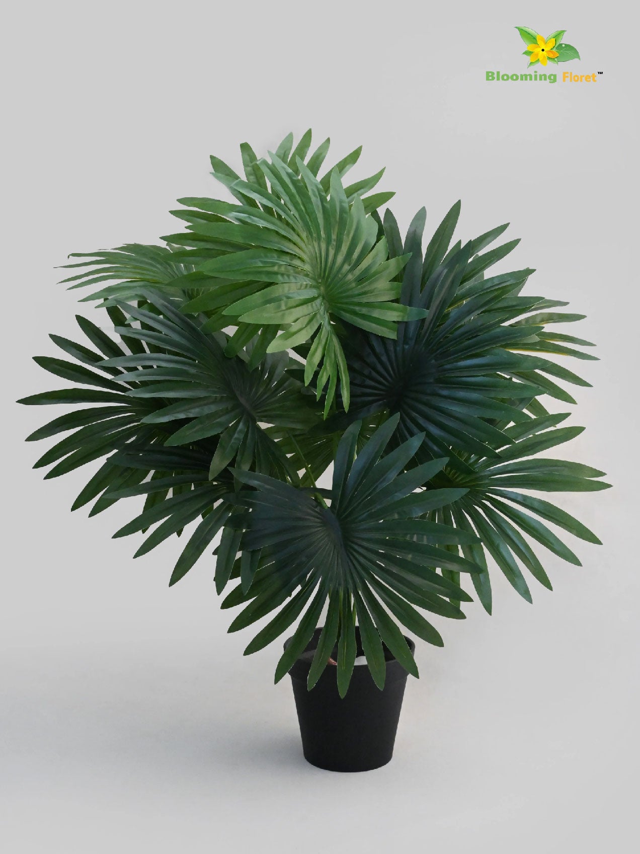 Artificial Fan Palm Plant – 65 cm, 12 Patterned Green Leaves, with Basic Pot