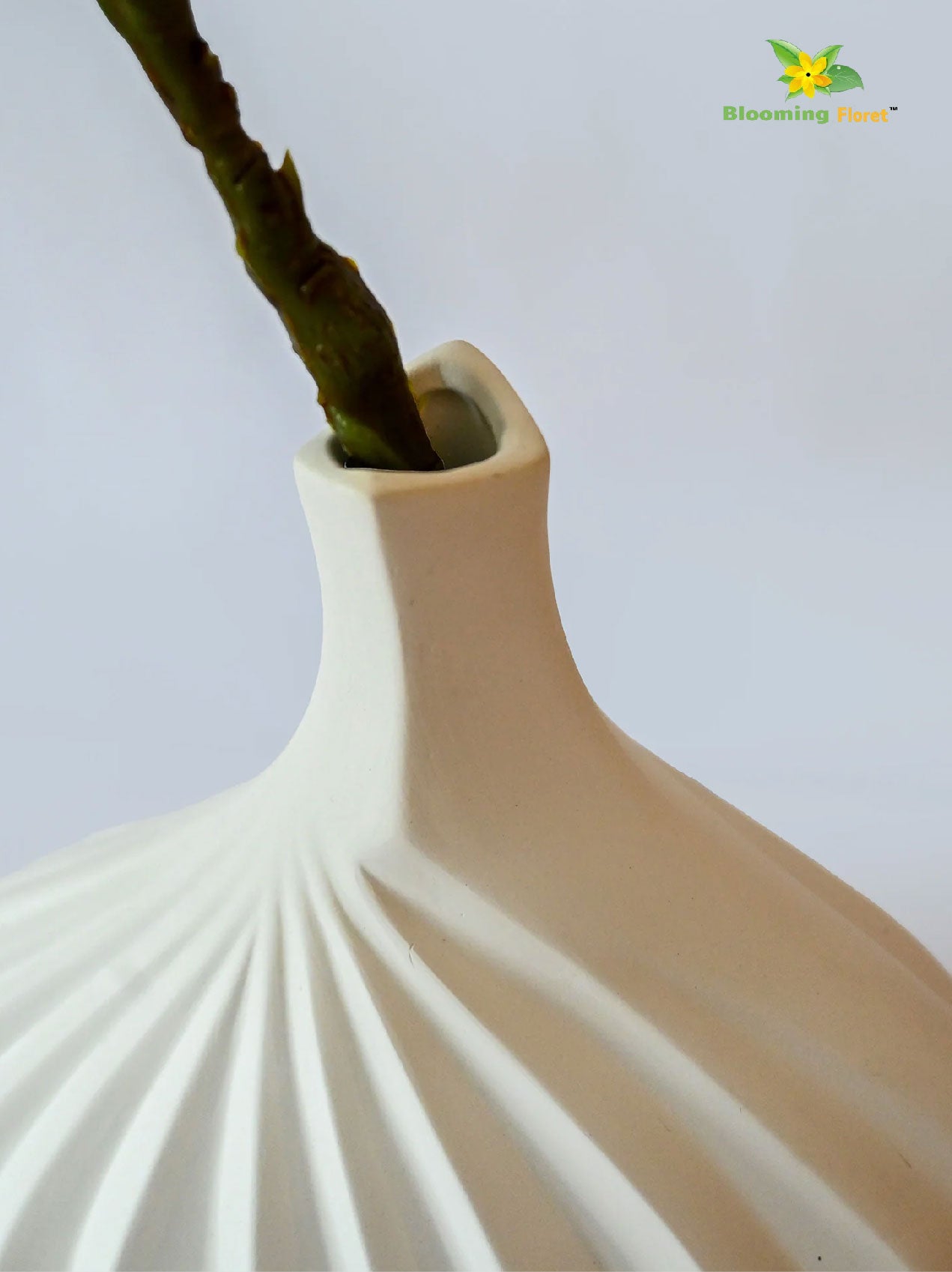 White Ceramic Vase