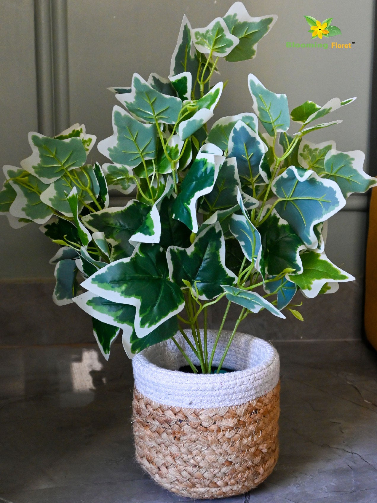 Ivory Elegance Bettina Ivy Plant – 48 cm, with Basic Pot