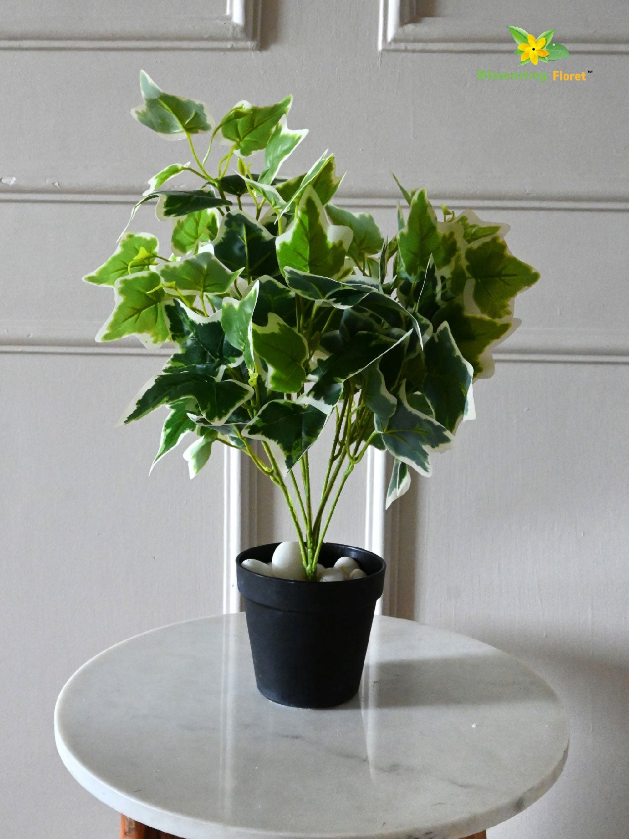 Ivory Elegance Bettina Ivy Plant – 48 cm, with Basic Pot