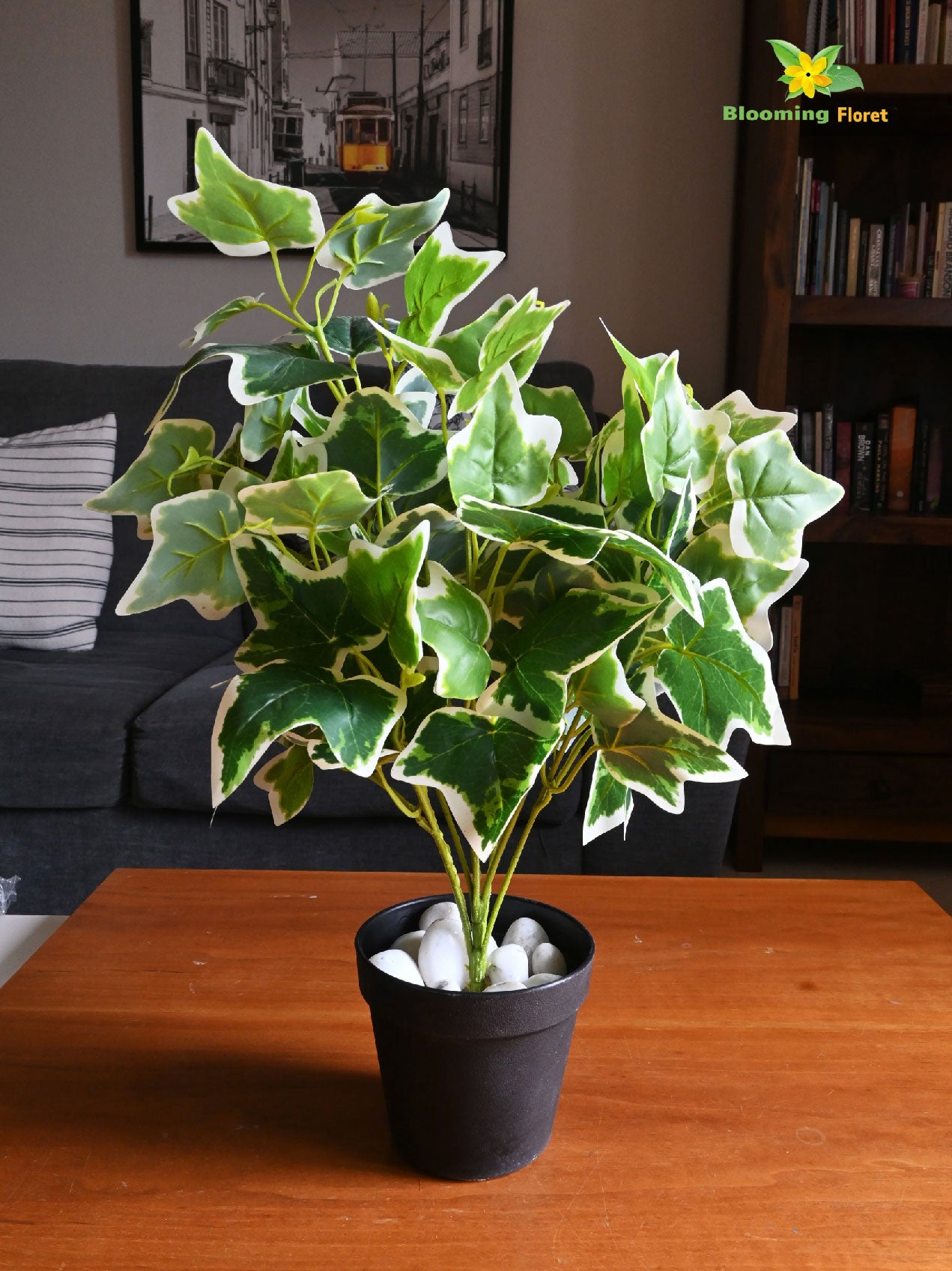 Ivory Elegance Bettina Ivy Plant – 48 cm, with Basic Pot