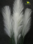 Artificial Flower Pampas Grass - 93.9 cm Tall, with Basic Pot