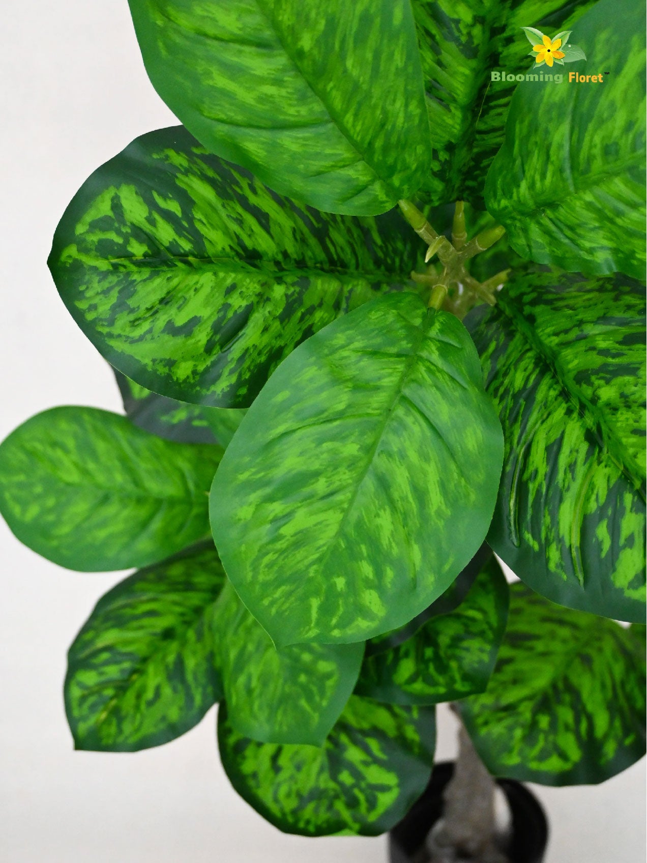 Artificial Dieffenbachia Seguine Plant – 95 cm, 33 Leaves, with Basic Pot