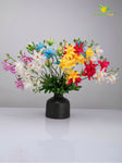 Vibrant Blooms Orchid Bauhinia Bunch