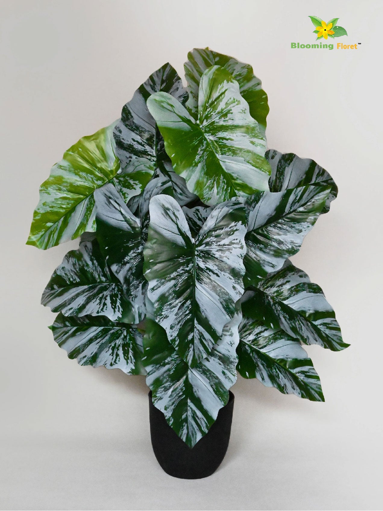 Artificial Tropical Caladium Plant – 78 cm, 18 Green and White Leaves, with Basic Pot