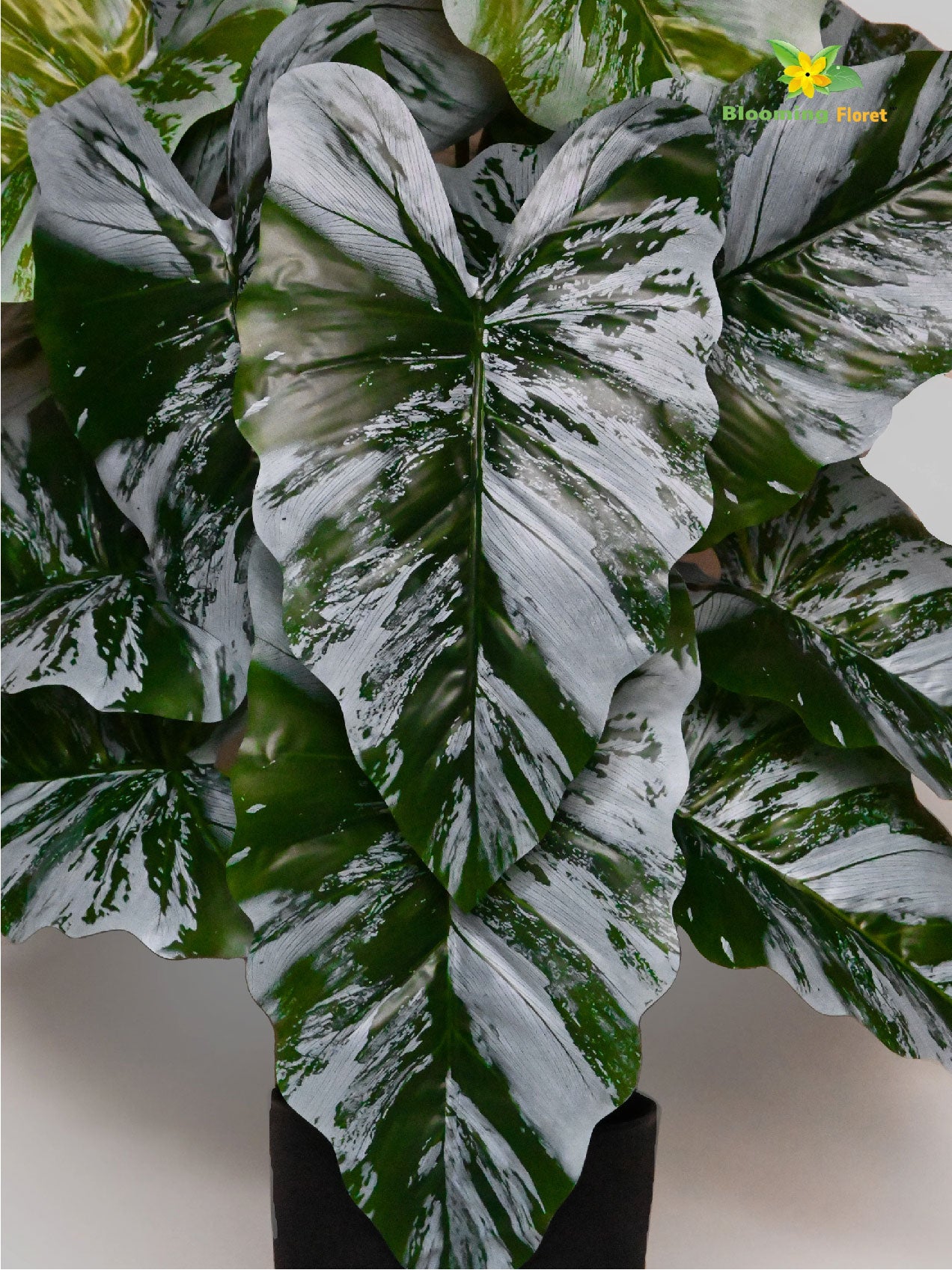 Artificial Tropical Caladium Plant – 78 cm, 18 Green and White Leaves, with Basic Pot