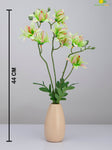 Vibrant Blooms Orchid Bauhinia Bunch