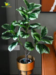 Artificial Jungle Velvet Plant – 95 cm, 33 Leaves, with Basic Pot