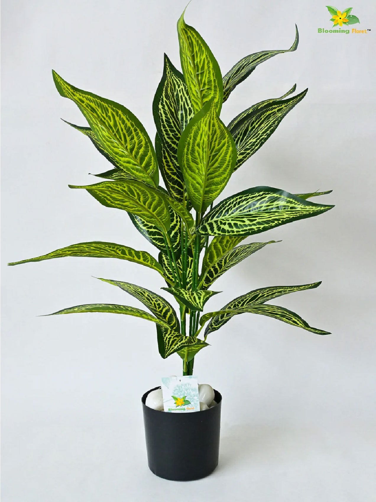 Artificial Ivory White Croton Plant – 71.1 cm, 26 Leaves, with Pot
