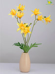 Vibrant Blooms Orchid Bauhinia Bunch