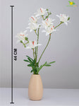 Vibrant Blooms Orchid Bauhinia Bunch
