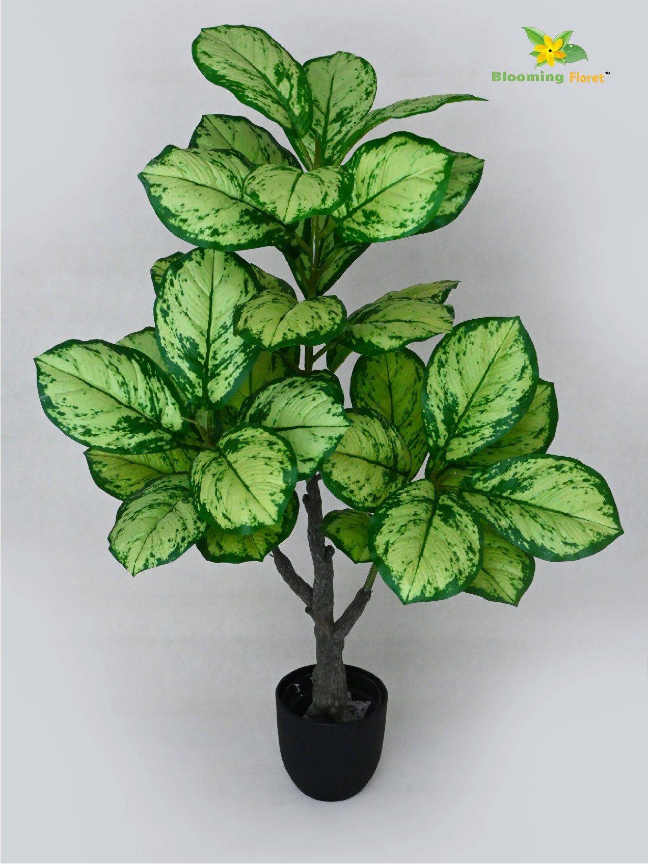 Artificial Dieffenbachia Honeydew Plant – 95 cm, 33 Leaves, with Basic Pot