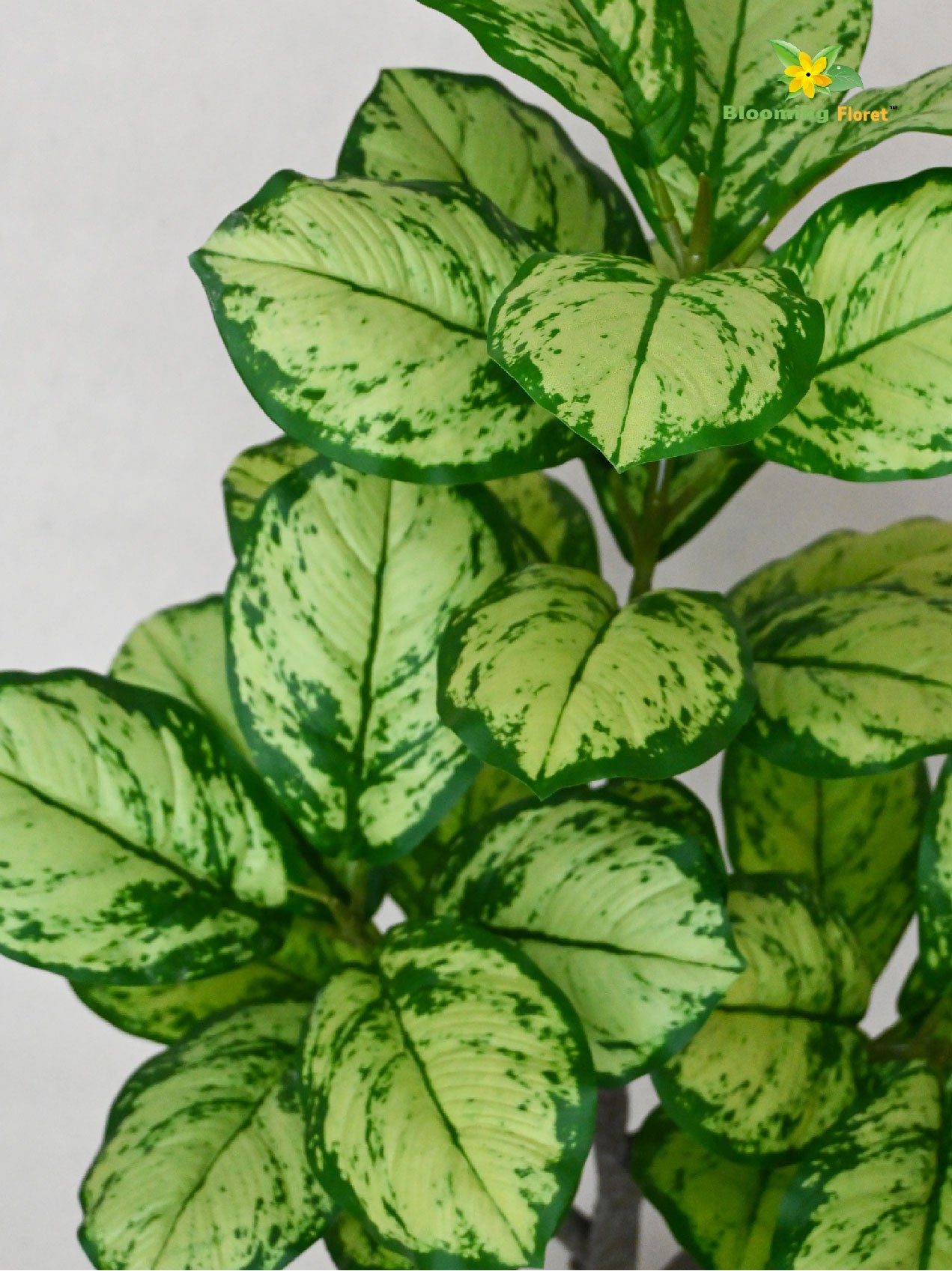 Artificial Dieffenbachia Honeydew Plant – 95 cm, 33 Leaves, with Basic Pot