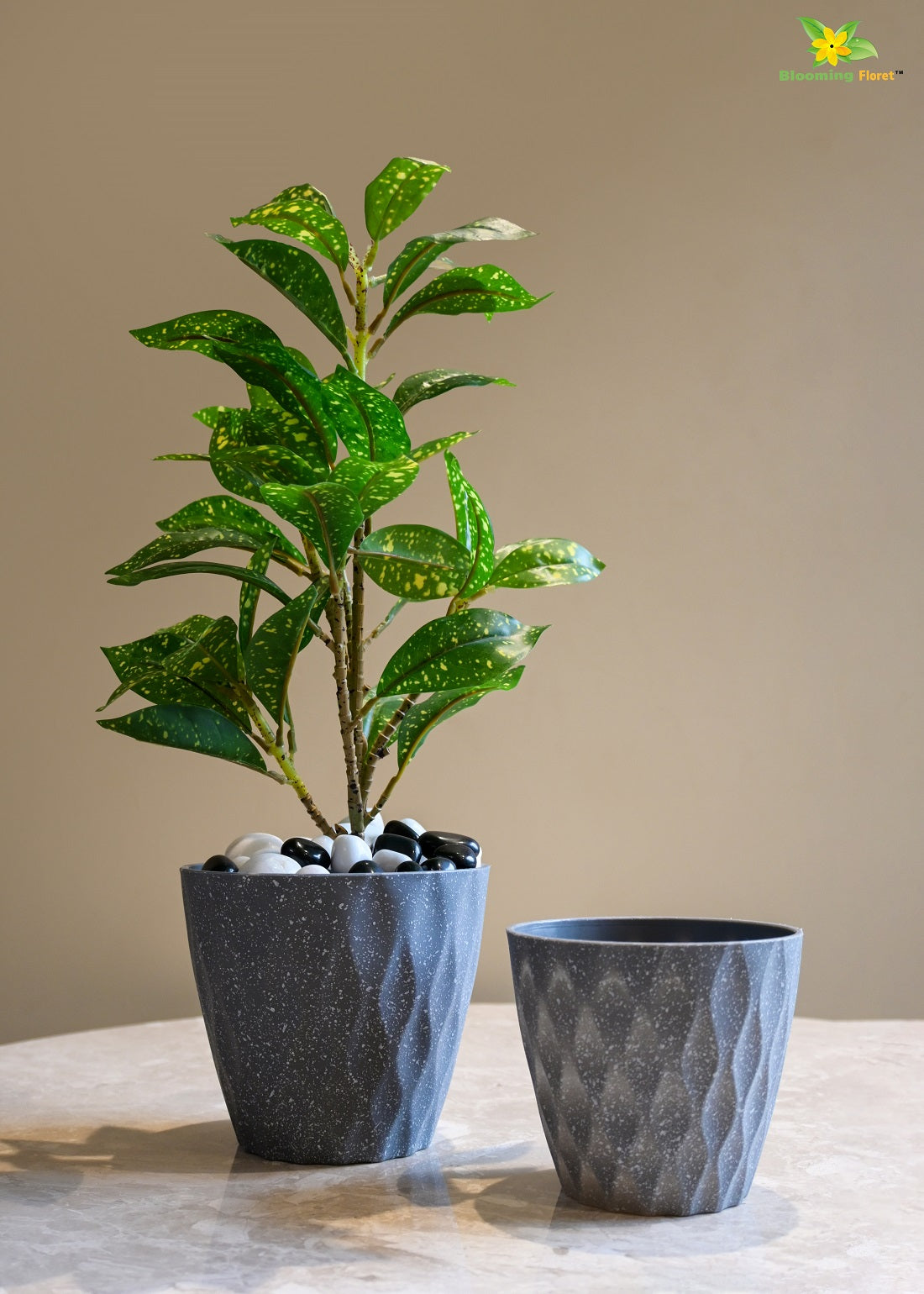 Ribbed Pattern Round Planter / Pots