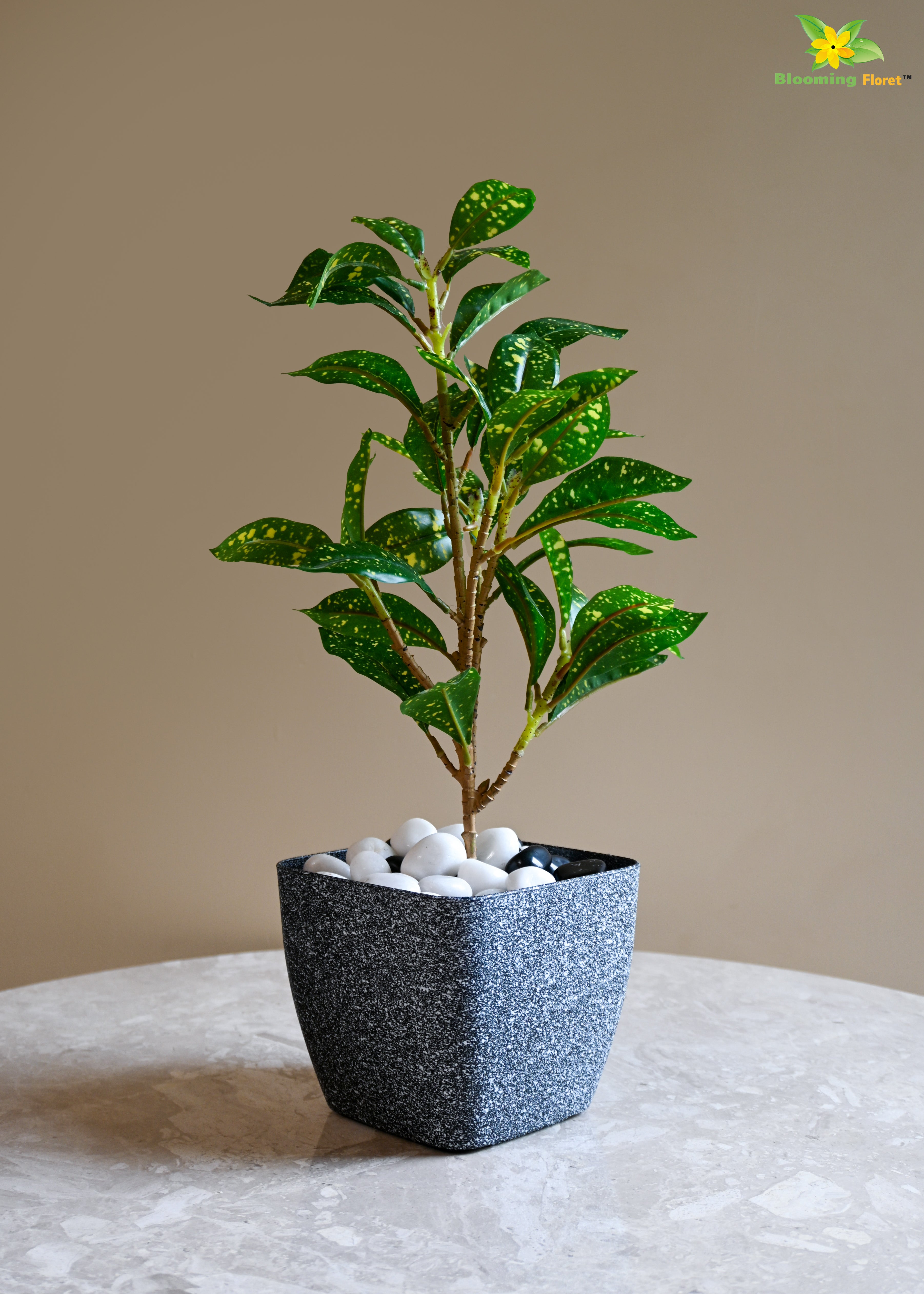 Coarse Textured Square Planter Pot