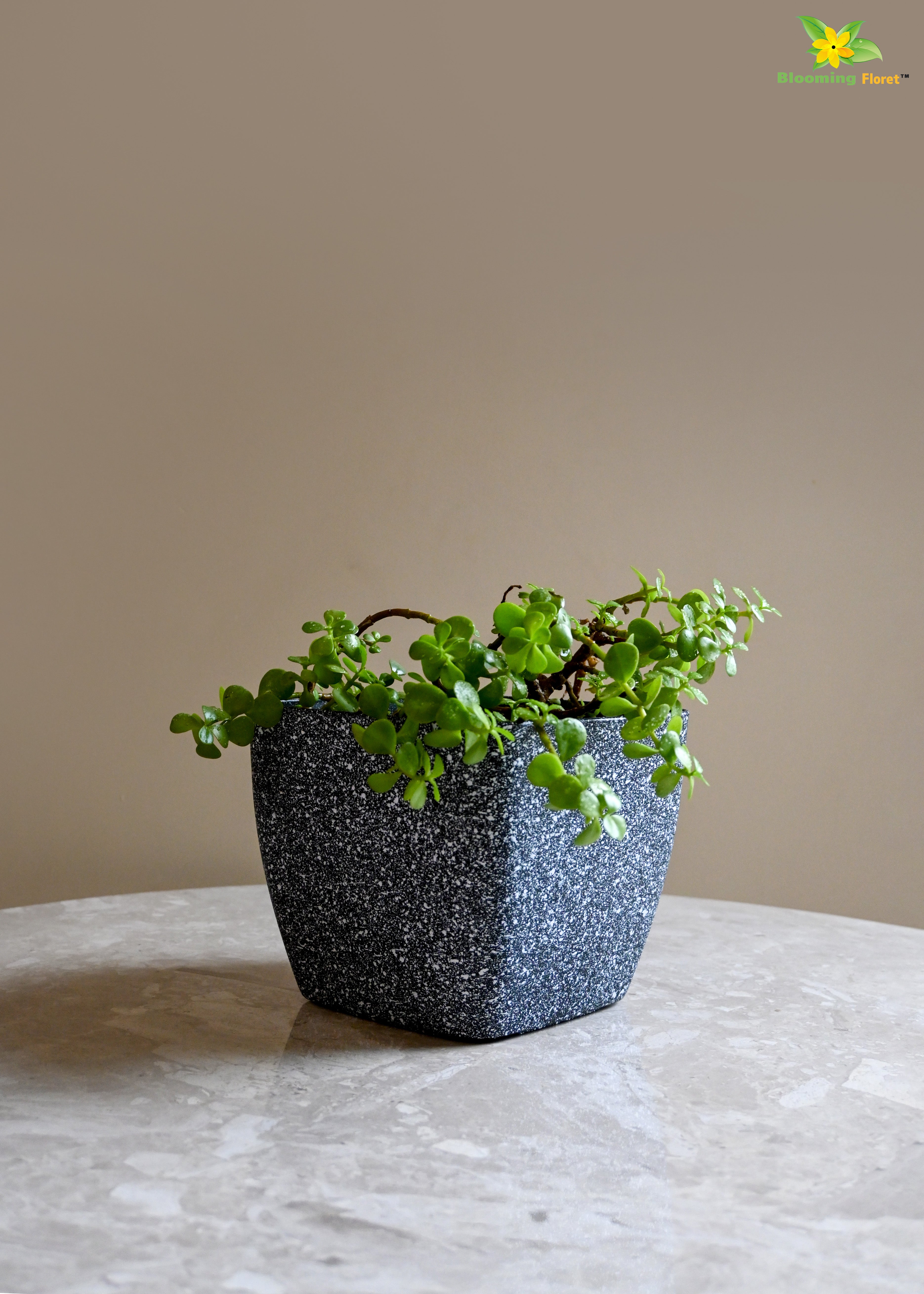 Coarse Textured Square Planter Pot