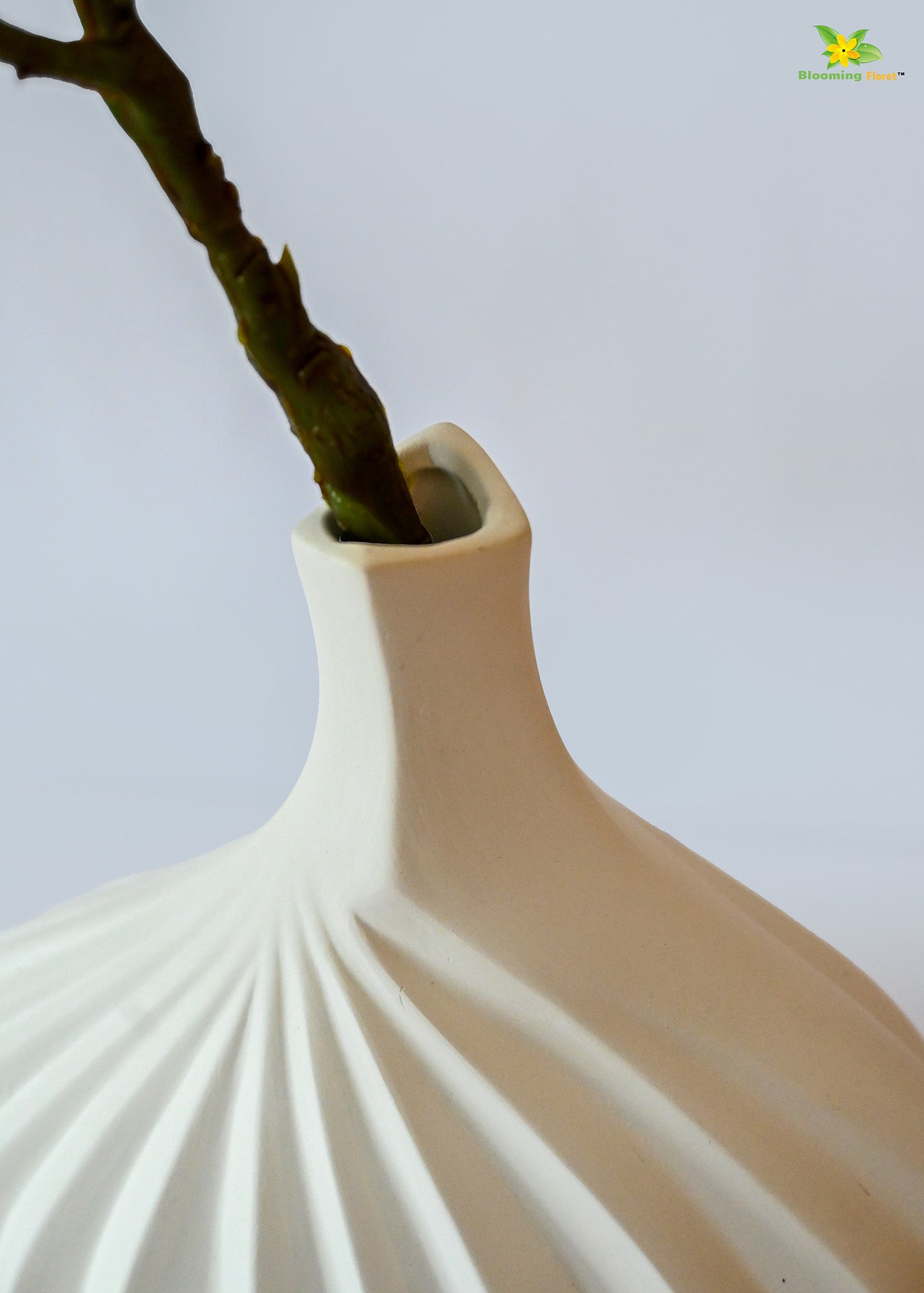 Elegant White Ceramic Vase