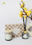 Reed Fragrance Diffuser & Scented Candles, Amber Ginger & Lily