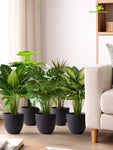 Black Round Planter | 17 cm | Set of 5