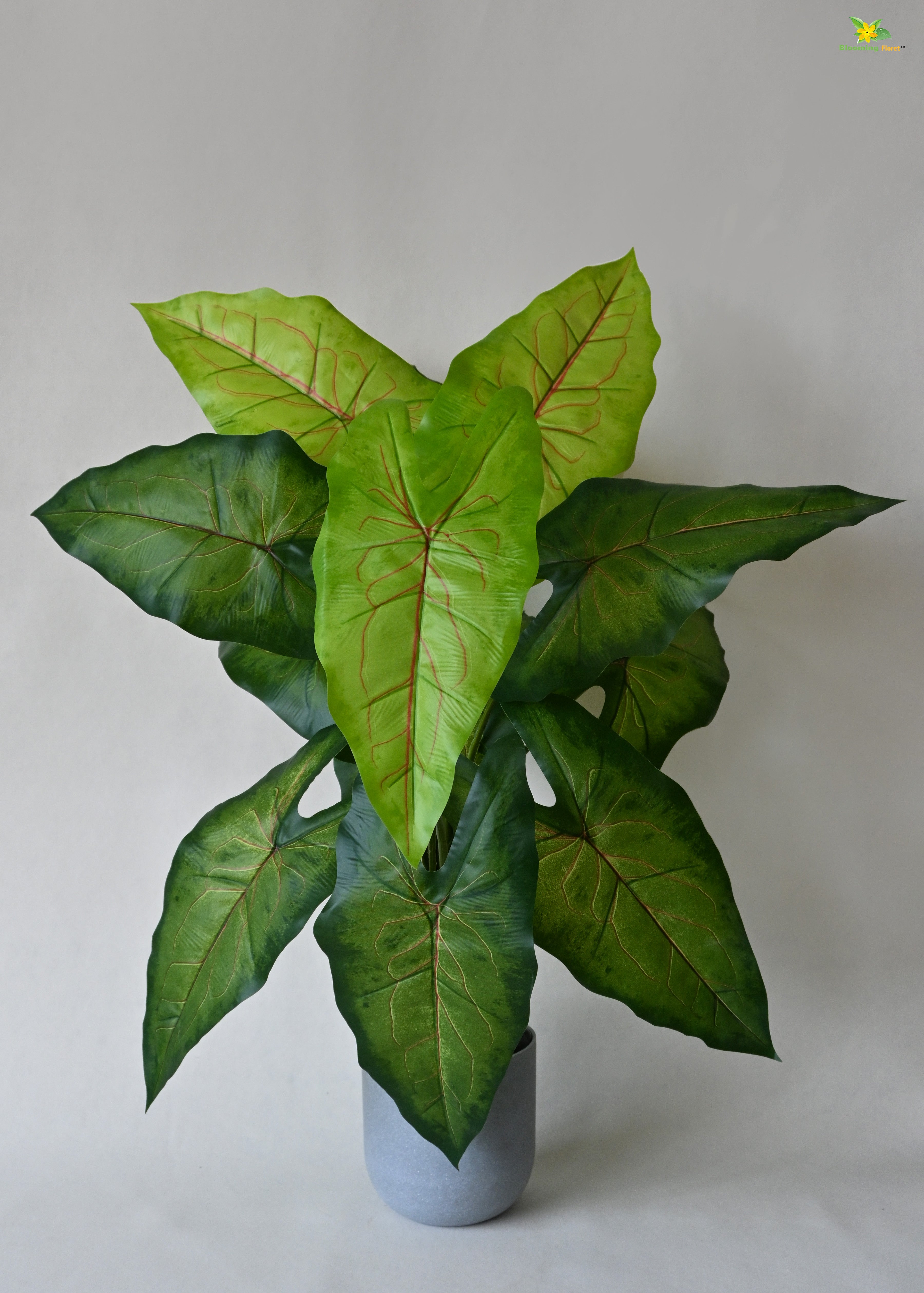 Artificial Caladium Plant for Decor | 12 Leaves with Basic Pot | 78.7 cm