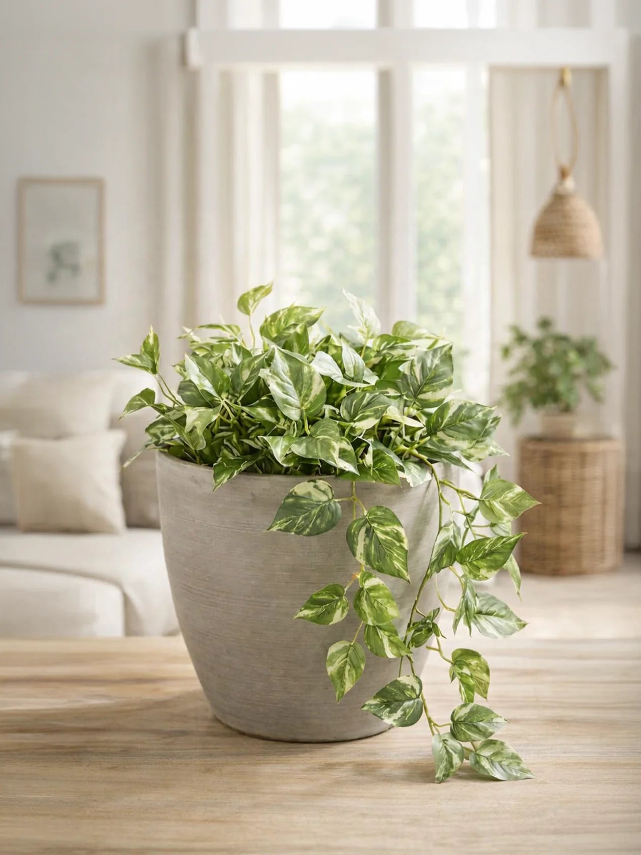 Decorative Pots |Light Brown | 12 cm
