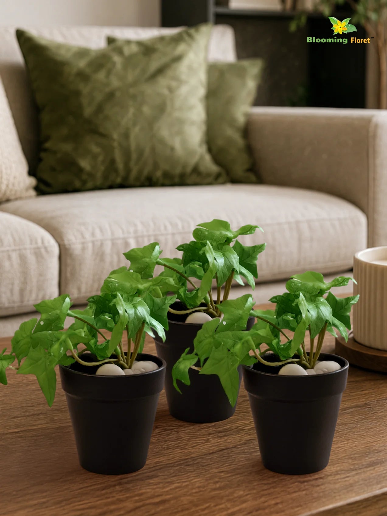 Artificial Ivy Succulent | Light Green | 10 cm | Set of 3