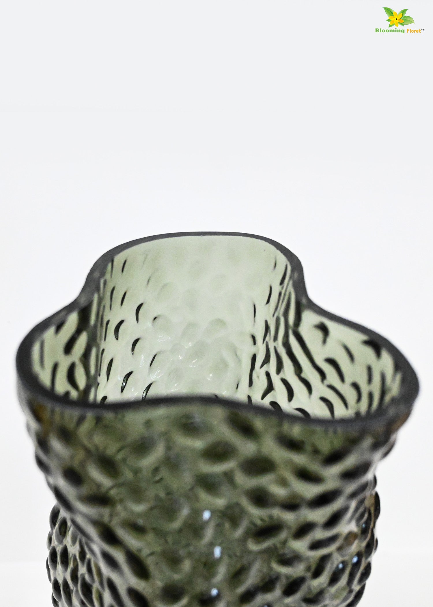 Twisted Glass Vase | Black | 23 cm
