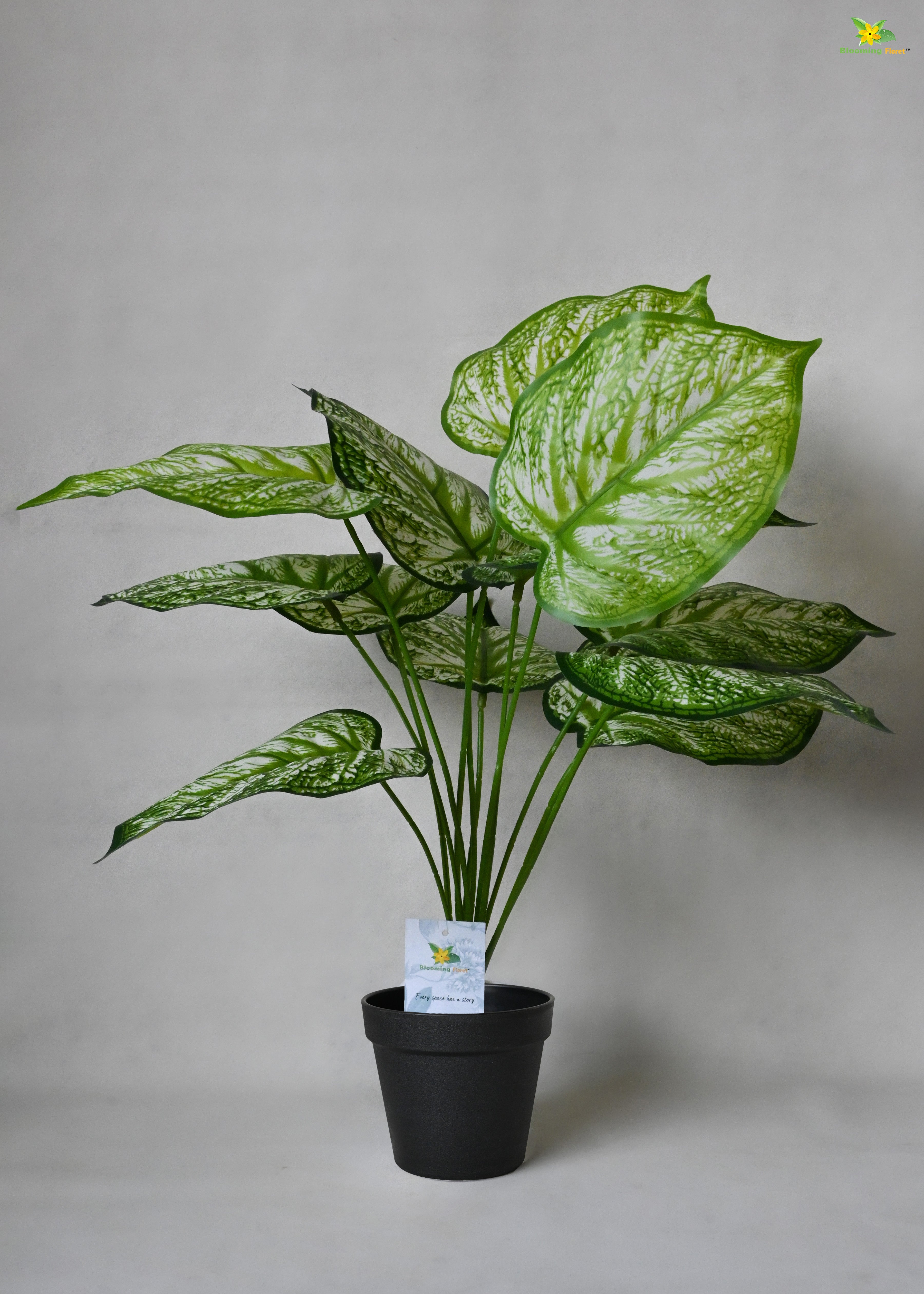 Artificial Devil's Ivy Plant for Decor 12 Leaves with Basic Pot | 65 cm