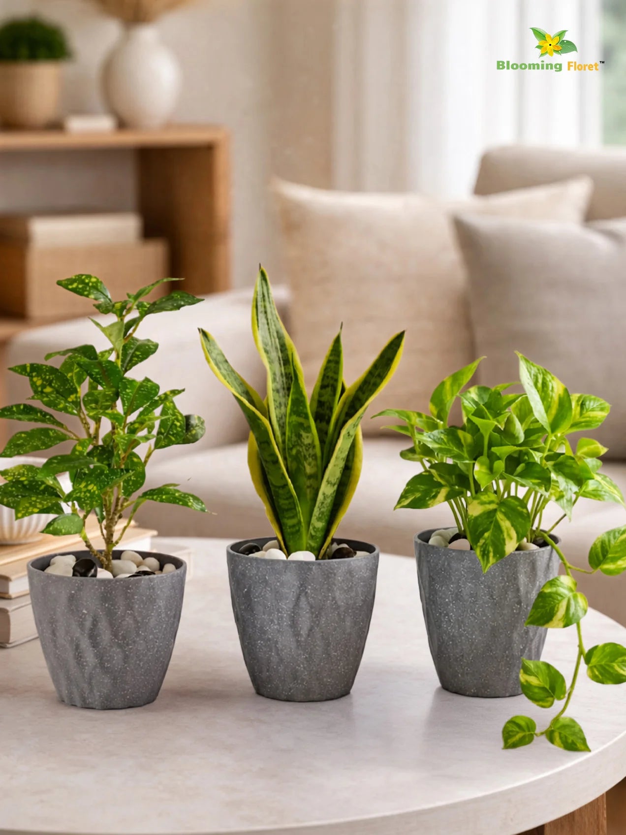 Diamond Pattern Round Planter | 13 cm | Set of 3