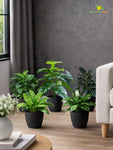 Elegant Ribbed Melamine Pot | Black | 16 cm | Set of 5