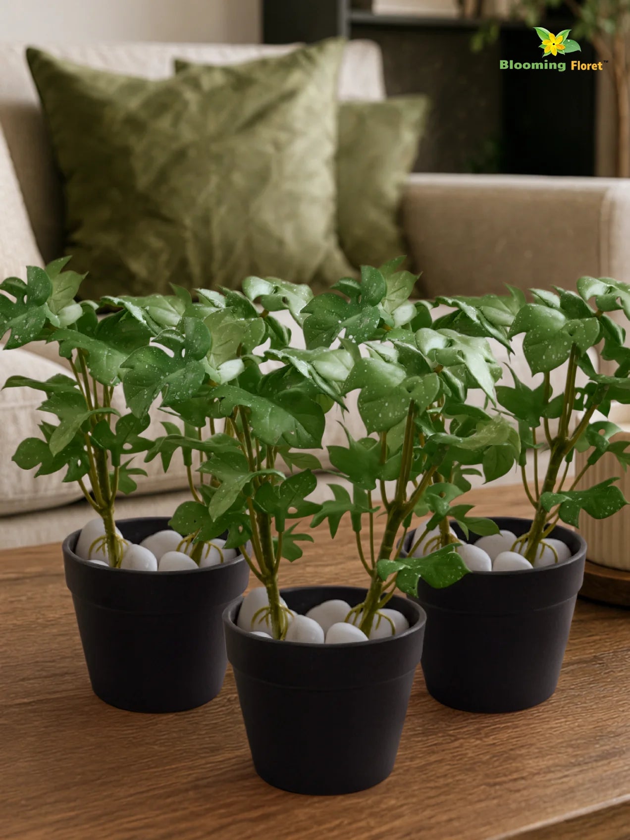 Artificial Mini Monstera Succulent | Green | 15 cm | Set of 3
