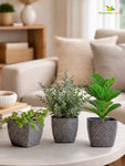 Coarse Textured Square Planter Pot | 13 cm | Set of 3