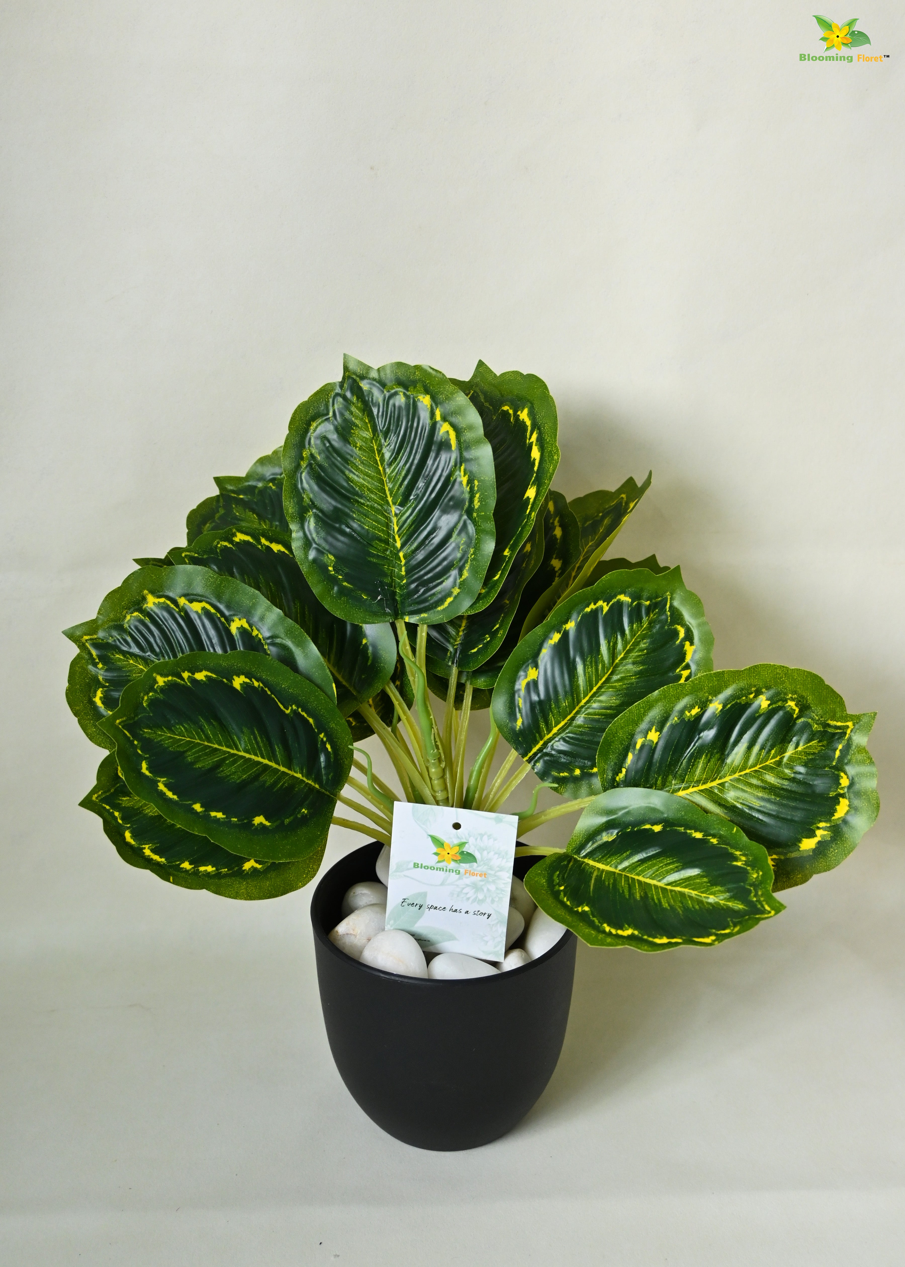 Artificial Calathea Roseopicta Plant For Decor | 18 Leaves with Basic Pot | 33 cm