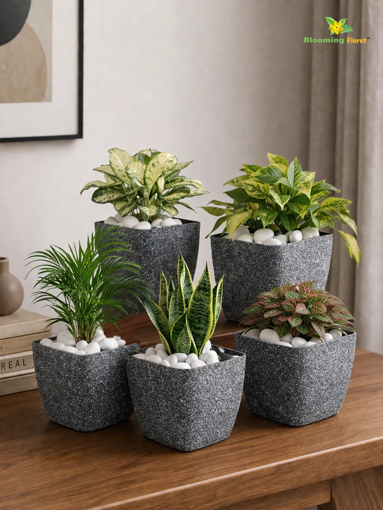 Coarse Textured Square Planter Pot | 10 cm | Set of 5