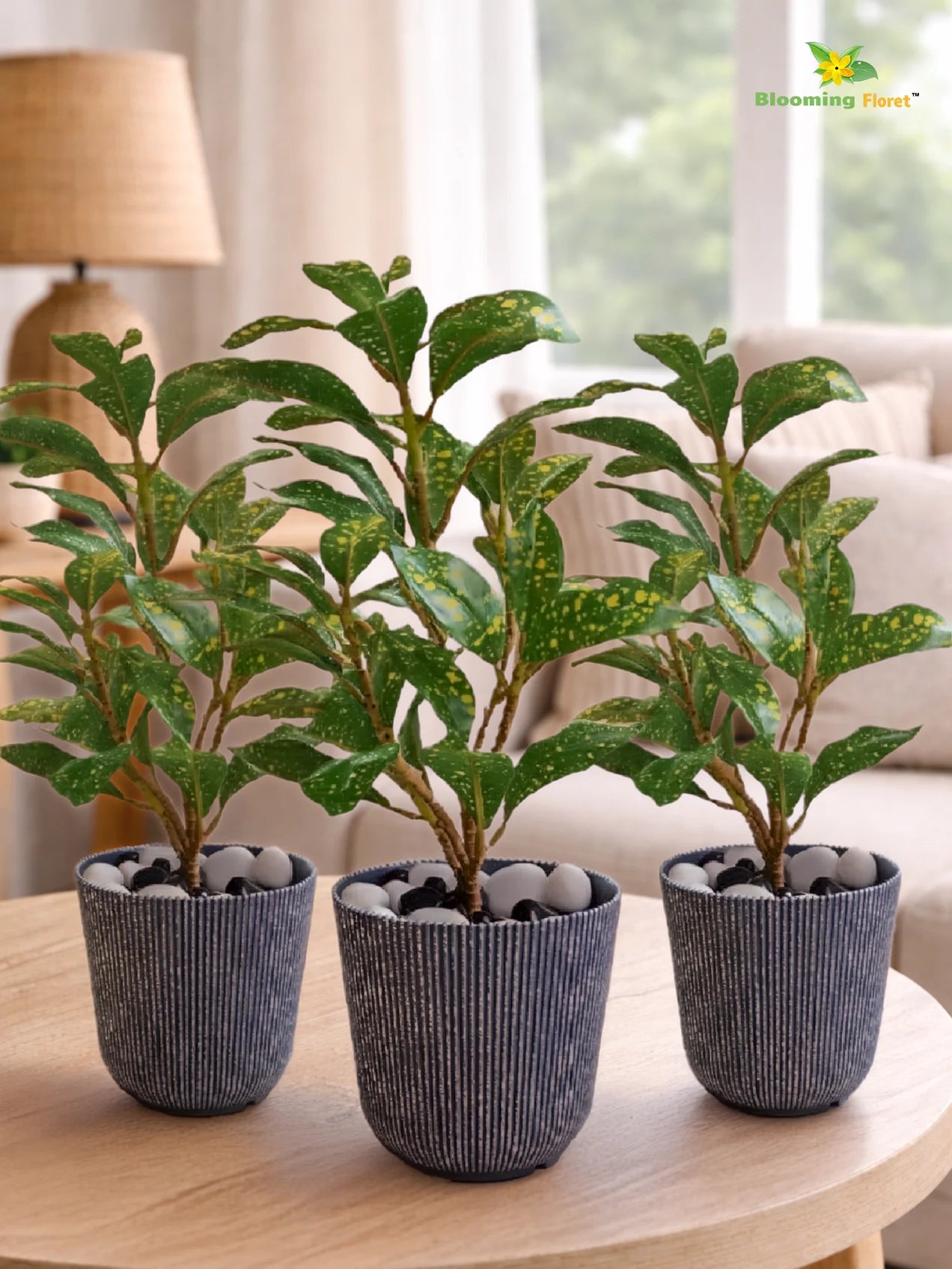 Ribbed Pattern Round Planter | 11.5 cm | Set of 3