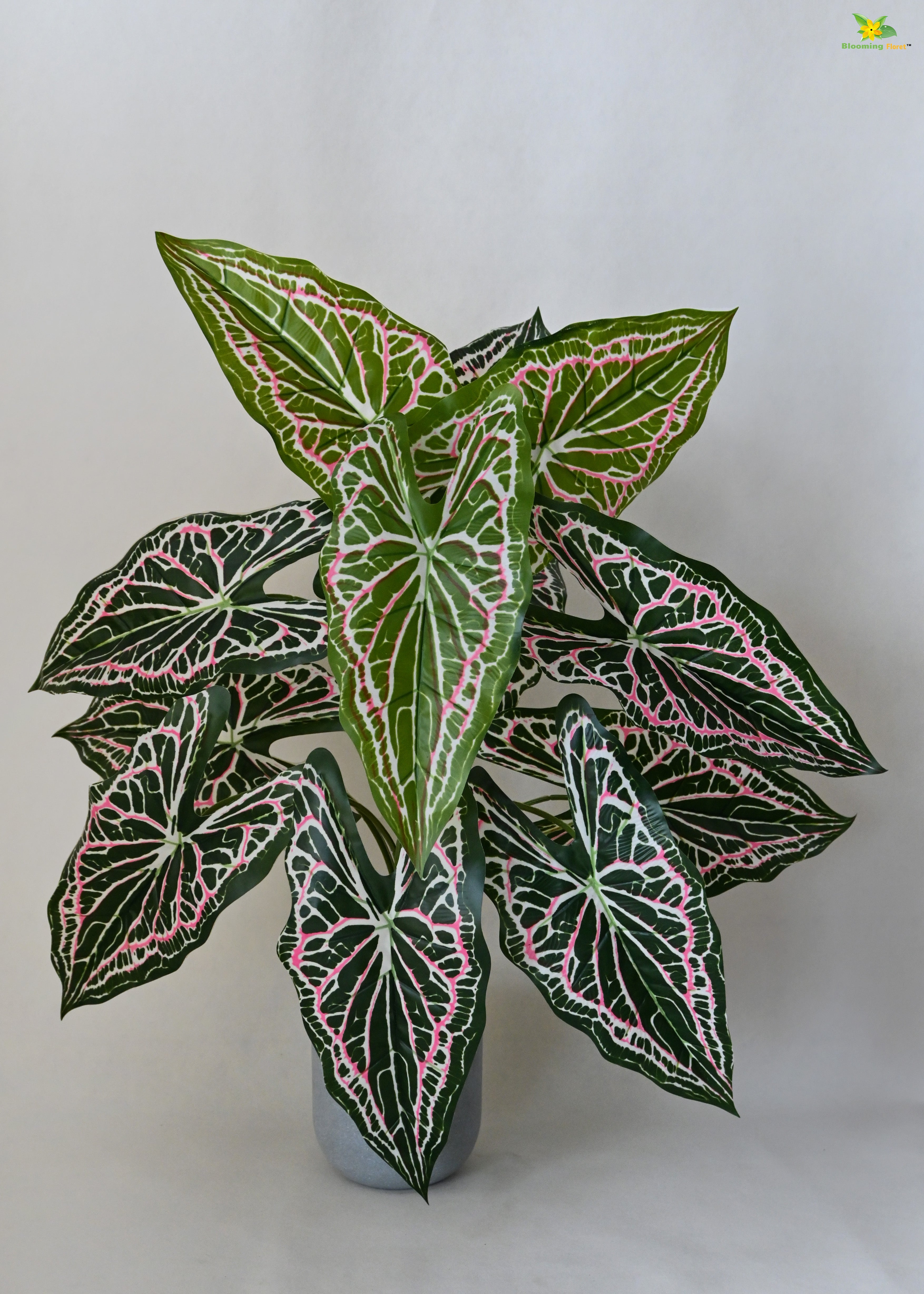 Artificial Web Pattern Caladium Plant for Decor | 12 Leaves with Basic Pot | 78.7 cm