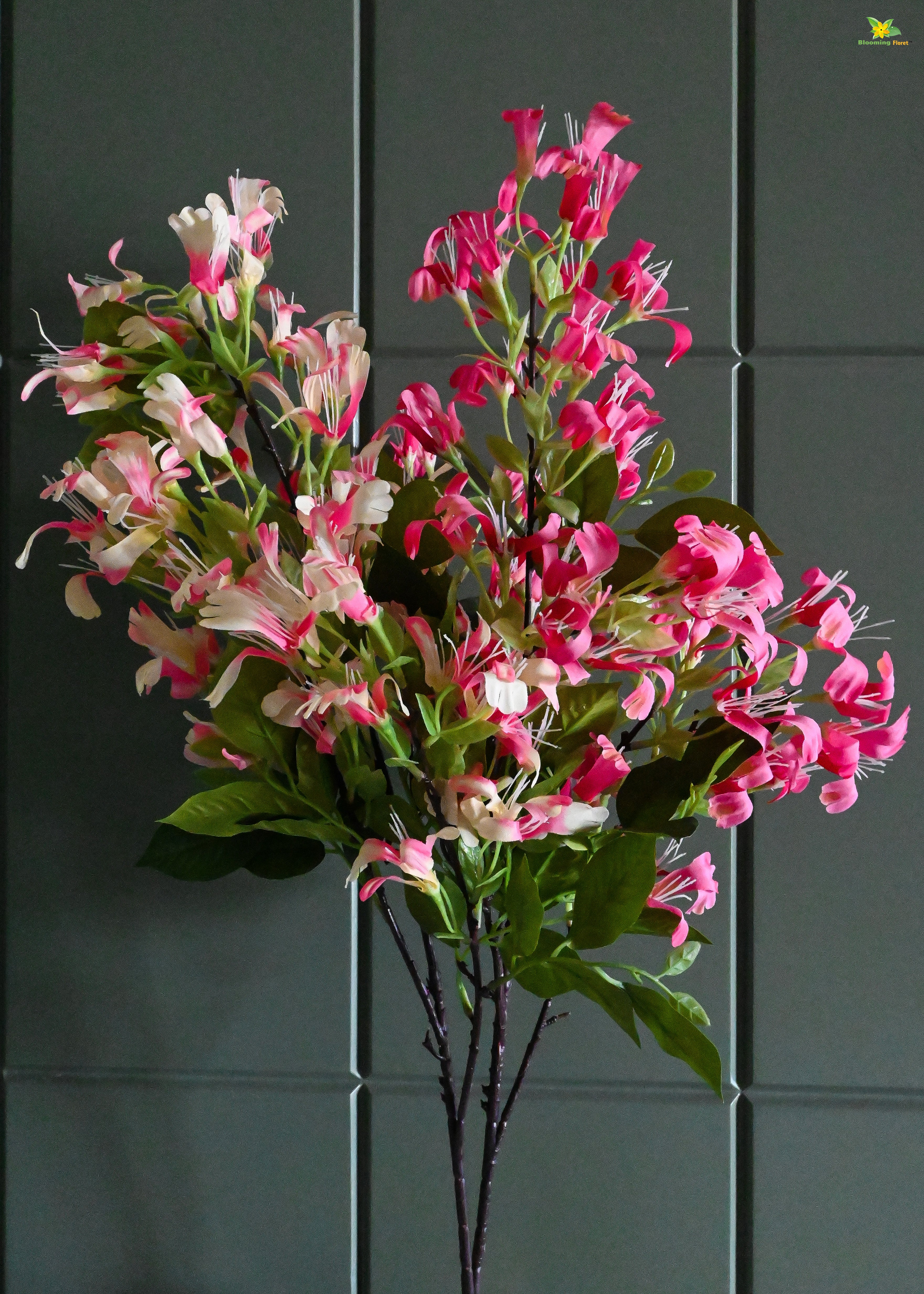 Harmony Blooms Japanese Honeysuckle Bunch Flower