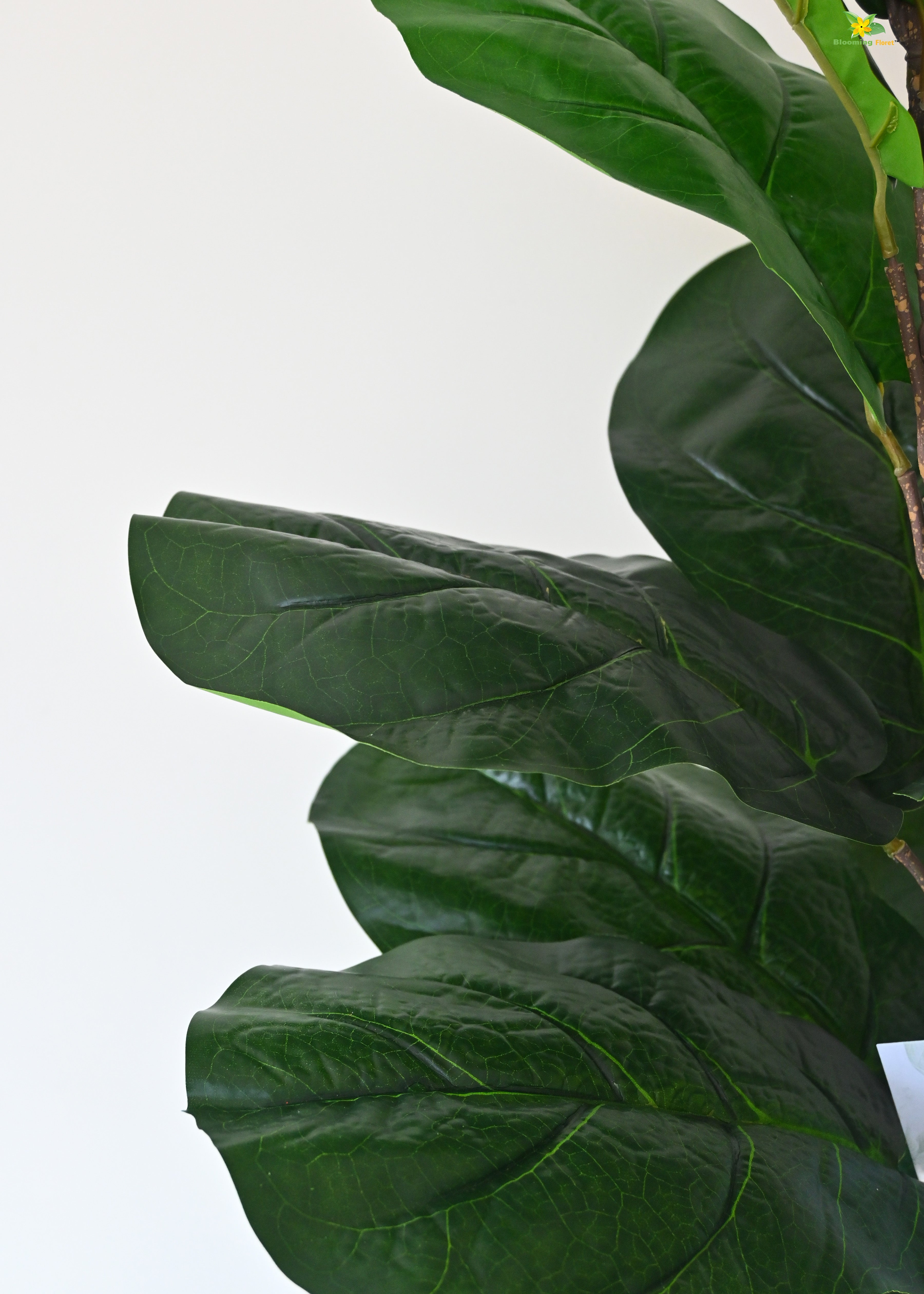 Artificial Fiddle-Leaf Fig Plant for Decor 16 Leaves with Basic Pot | 66 cm