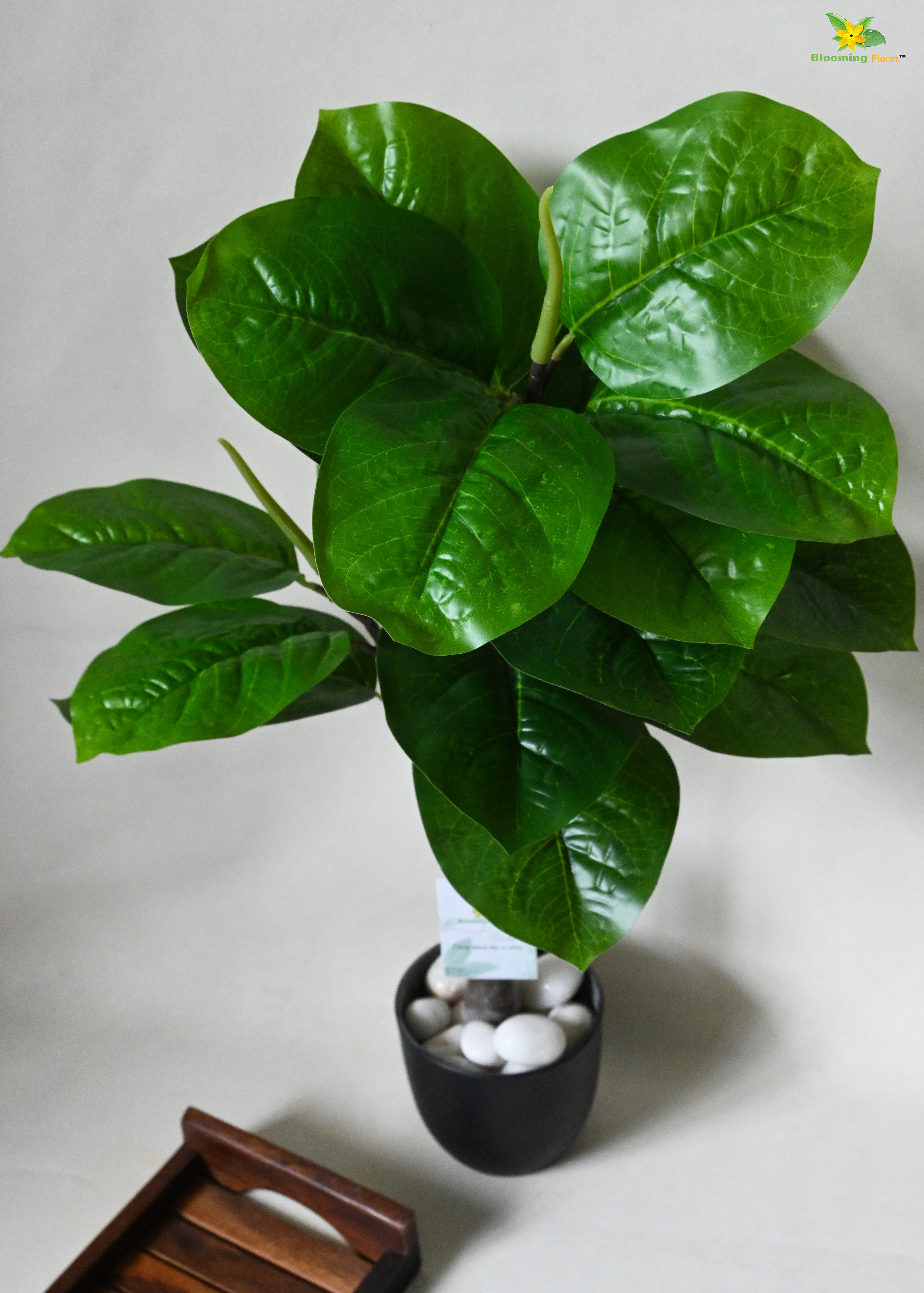 Artificial Wax Plant For Decor 18 Leaves with Basic Pot | 71.1 cm