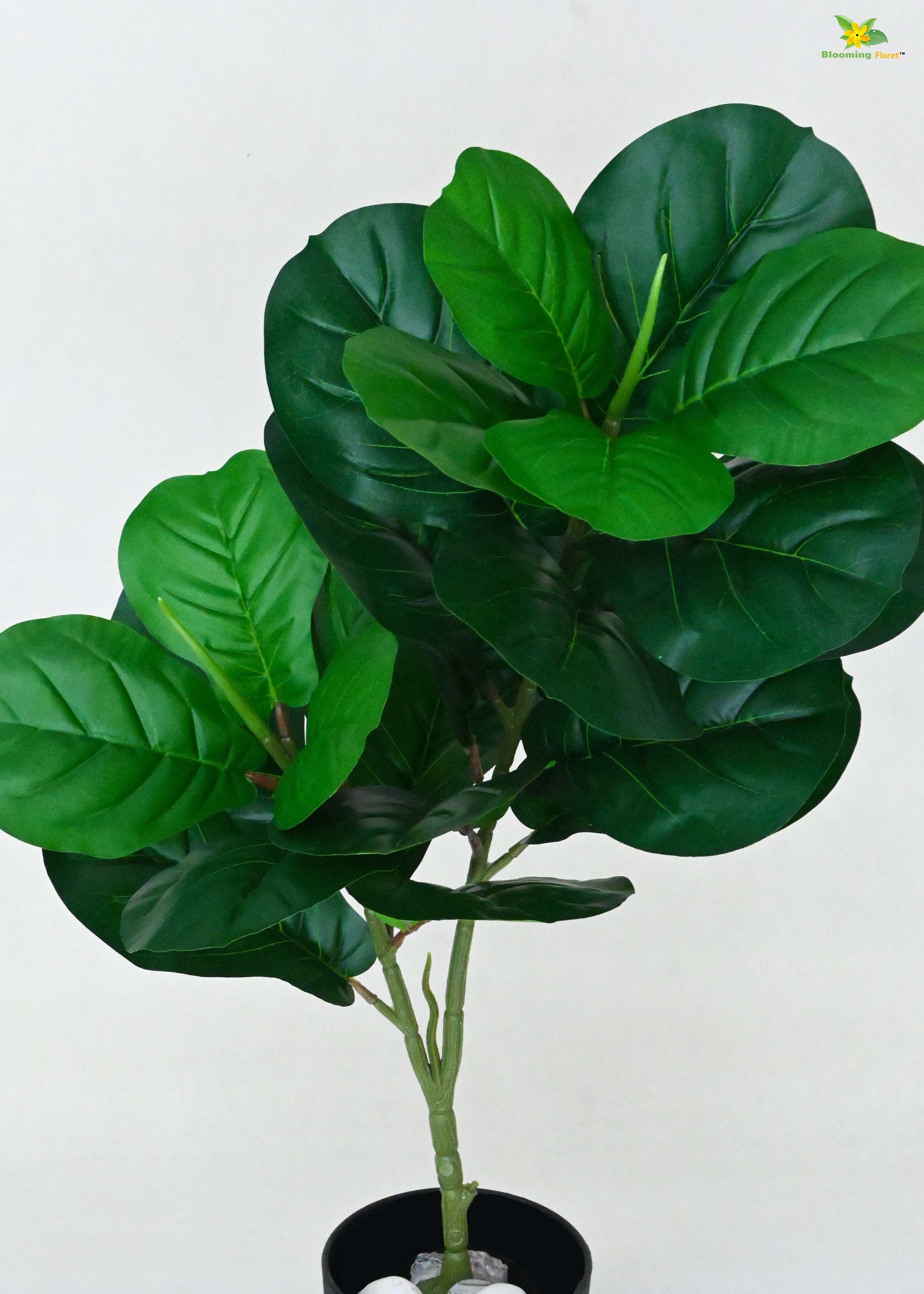 Artificial Fiddle-Leaf Fig Plant for Decor | 24 Leaves with Basic Pot | 74.9 cm