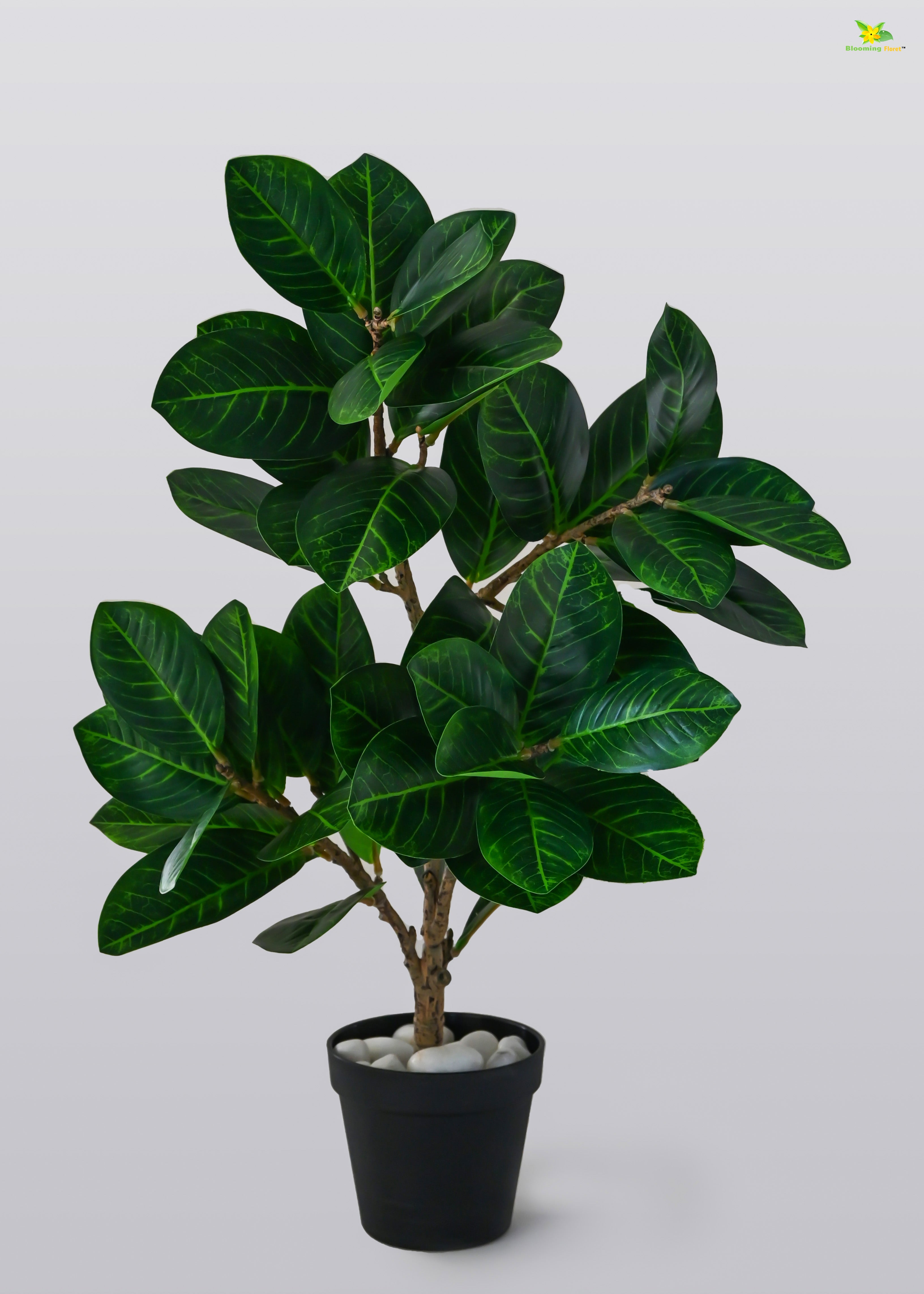 Artificial Fig Plant for Decor | 52 Leaves with Basic Pot | 68.5 cm