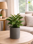 Cylinder Base Fiber Pot | Grey | 14 cm
