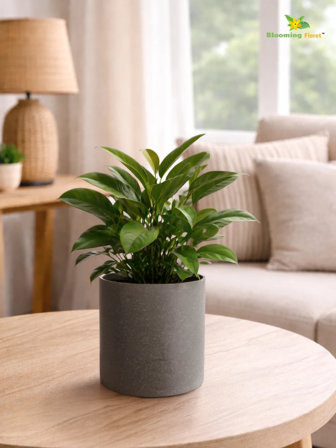 Cylinder Base Fiber Pot | Grey | 14 cm
