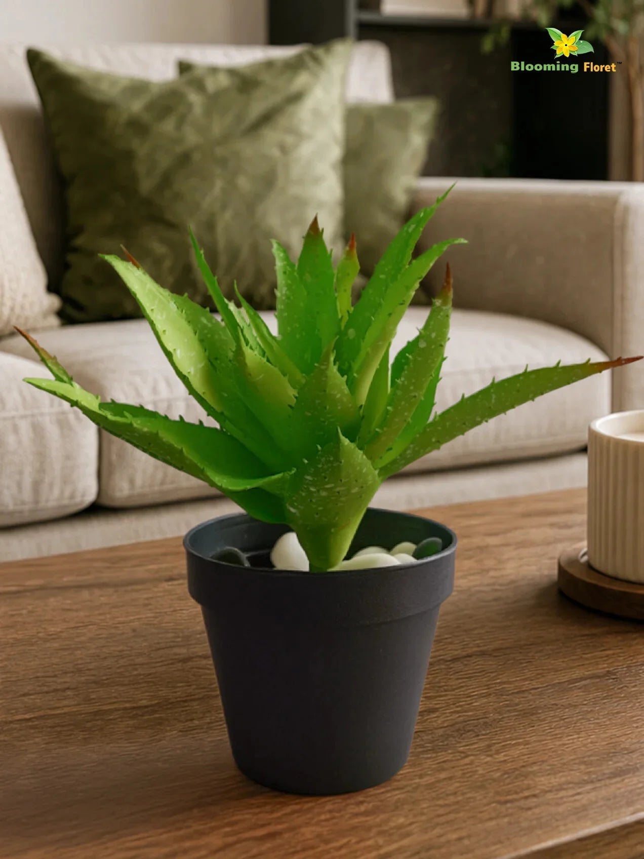 Aloe Vera Plant | Green | 24 cm