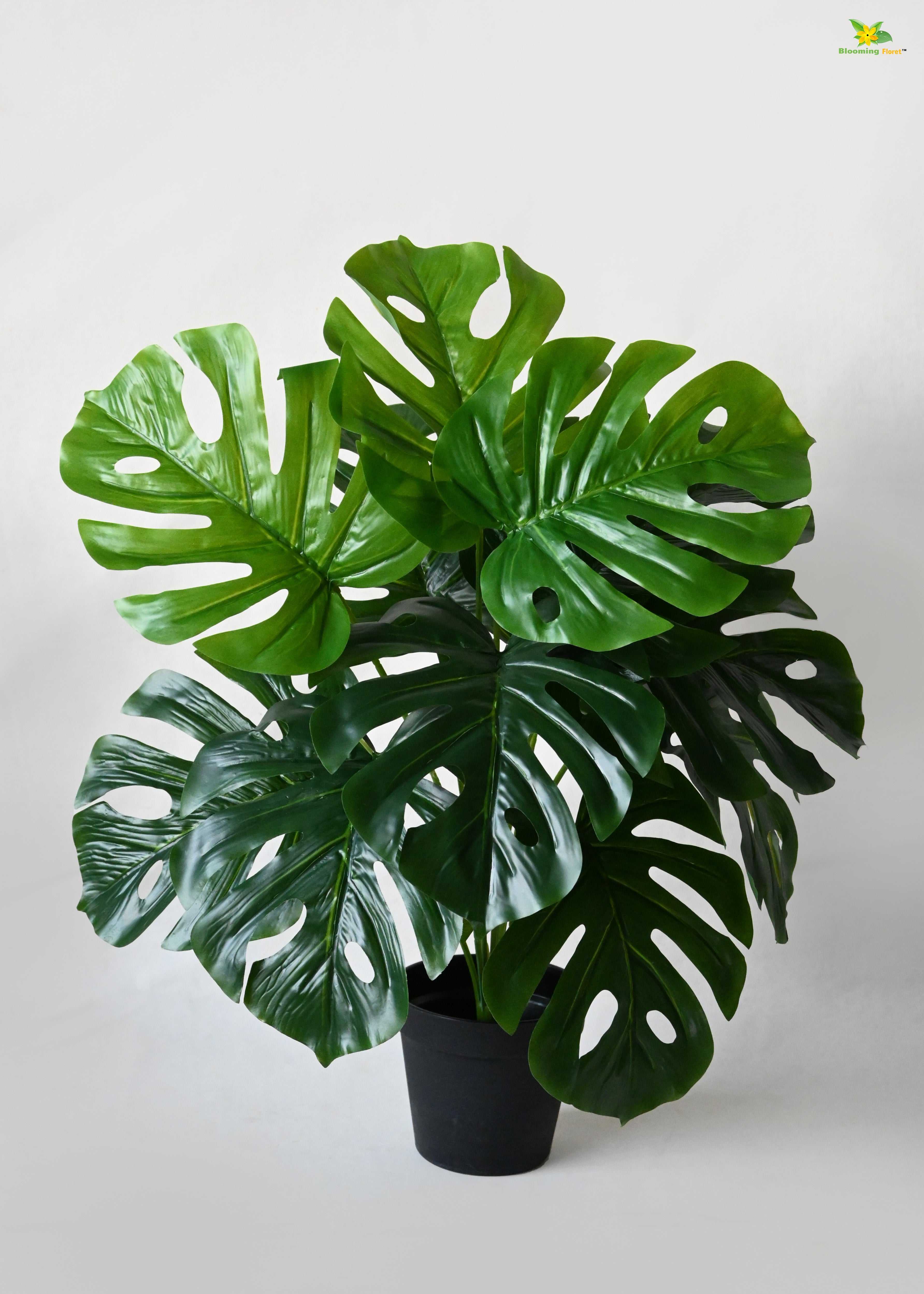 Artificial Monstera Plant for Decor | 12 Leaves with Basic Pot | 60.9 cm