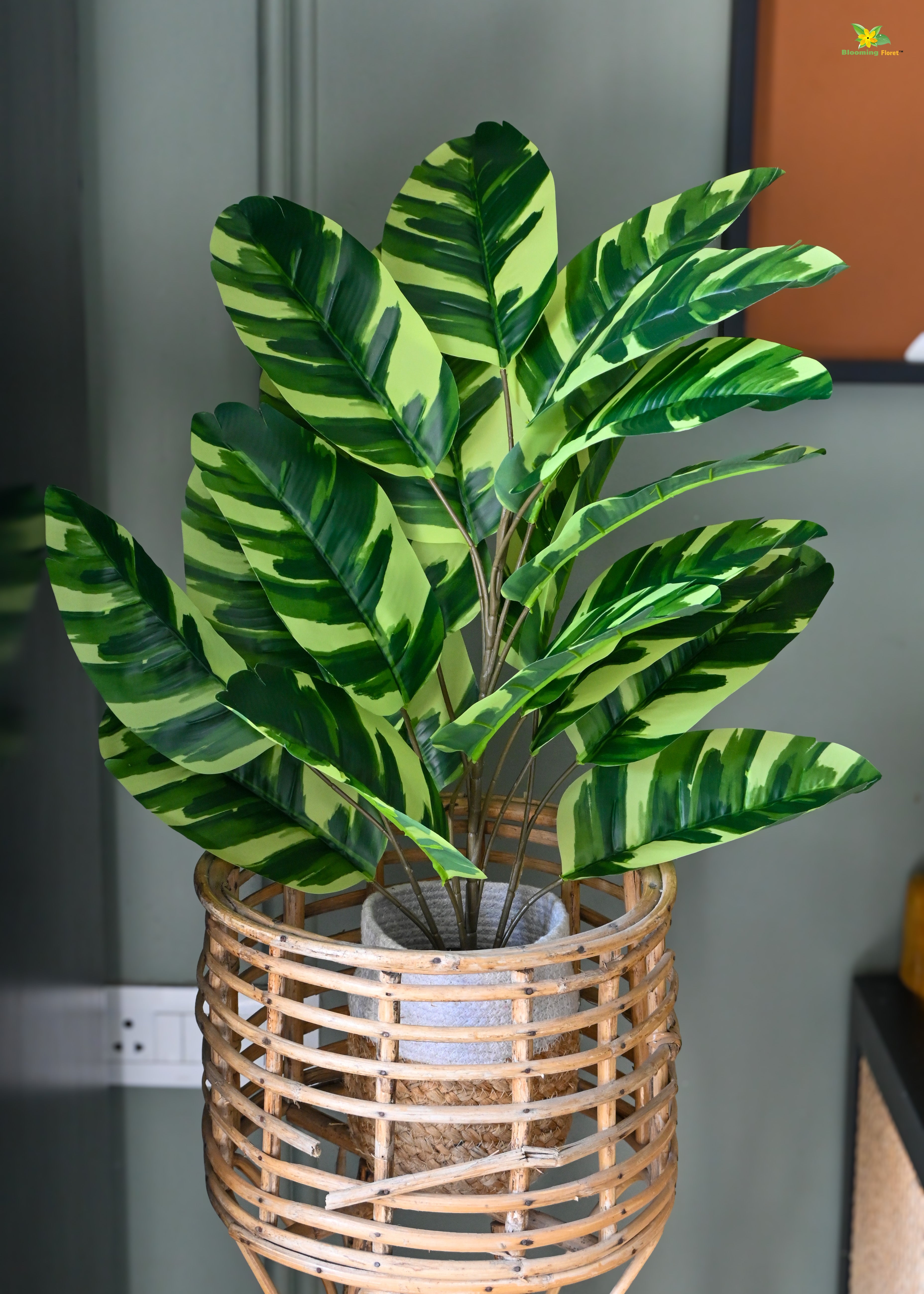 Artificial Calathea Zebrina Plant for Decor | 21 Leaves with Basic Pot | 78.7 cm