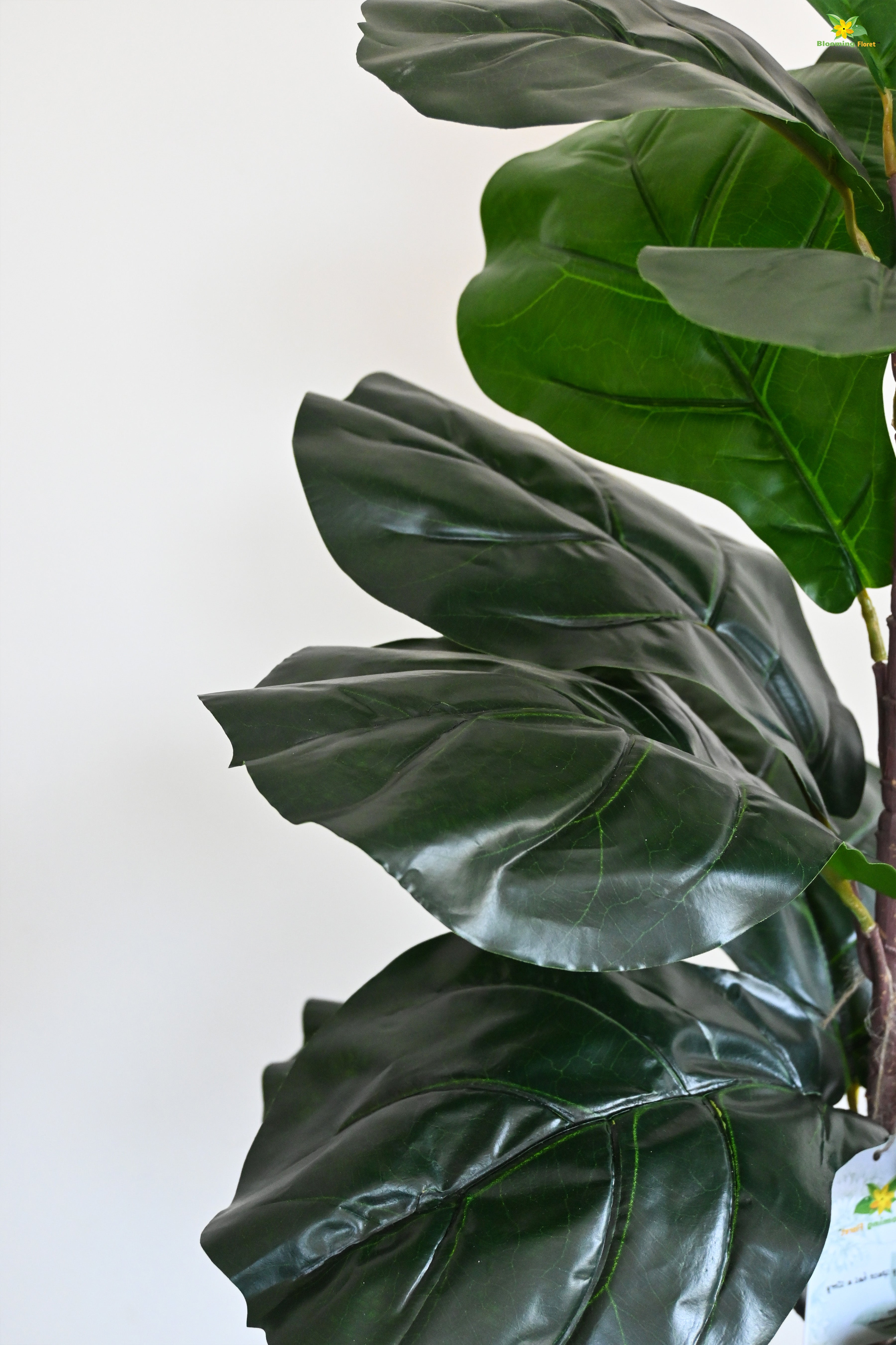 Artificial Fiddle-Leaf Fig Plant for Decor 16 Leaves with Basic Pot | 66 cm