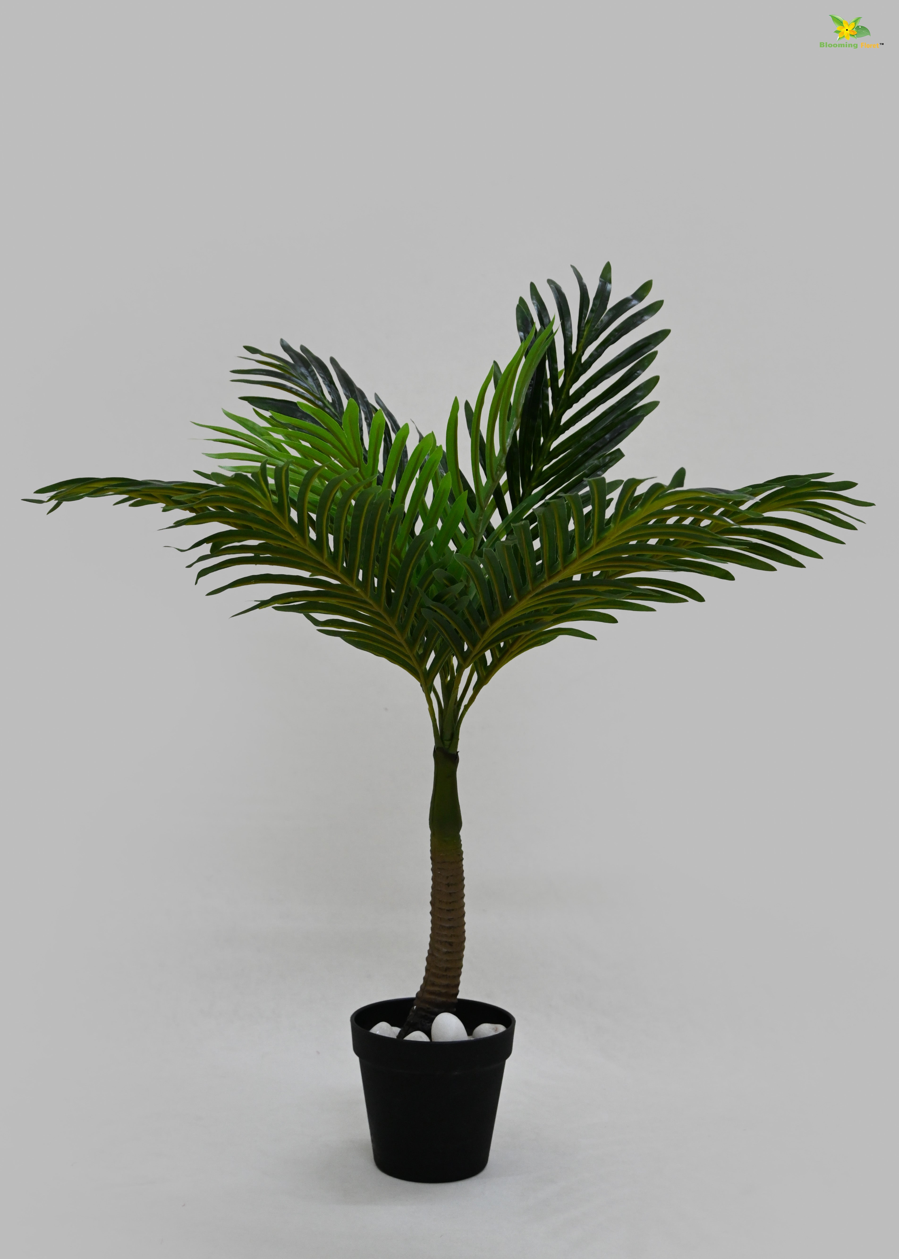 Artificial Bonsai Palm Tree for Decor | 9 Leaves With Basic Pot | 68.5 cm